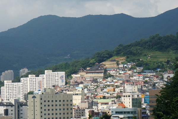 용마산에서 바라본 마산 시내의 모습