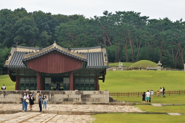 왕릉은 조선이 자랑하는 문화유산이자 현대인에게는 최고의 산책 코스다.