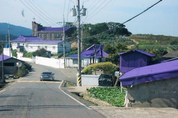 마을 주민들은 퍼플교와 일체감을 이루도록 가옥까지 보라색으로 통일했다.