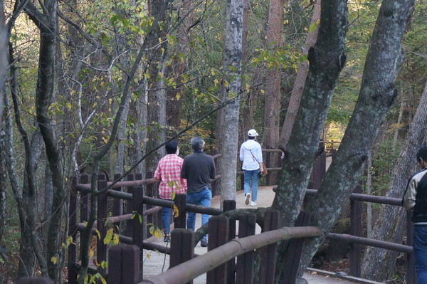 수변 산책로는 전나무숲길과는 또 다른 느낌의 가을이 기다리고 있다.