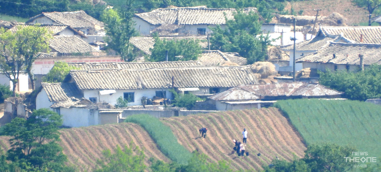 13일 오전 인천시 강화군 평화전망대에서 바라본 북한 황해북도 개풍군 주민들이 밭일을 하고 있다. (사진=임순석 기자)