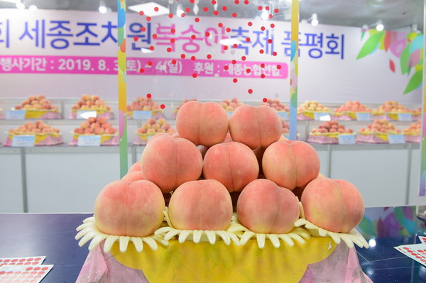지난 2019년도 개최된 '조치원복숭아축제' 현장 모습. 품평회에서 복숭아 상품전이 열리고 있다. (사진=세종시)