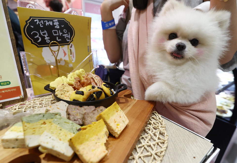 지난 22일 서울 강남구 코엑스에서 열린 '2022 케이펫페어 서울' 한 부스에서 반려동물용 음식을 전시하고 있다. (사진=연합뉴스)