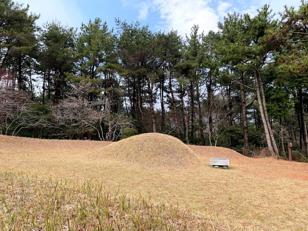 박경리 선생의 묘소. 미륵산 양지바른 언덕에 마련되어 있다.