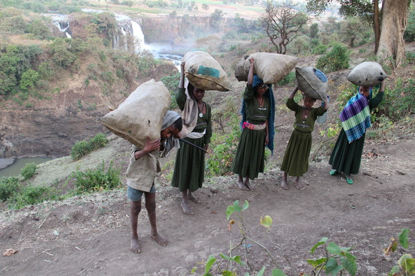 이디오피아 청나일강 상류에서 만난 숯을 팔러가는 사람들. (전운성)