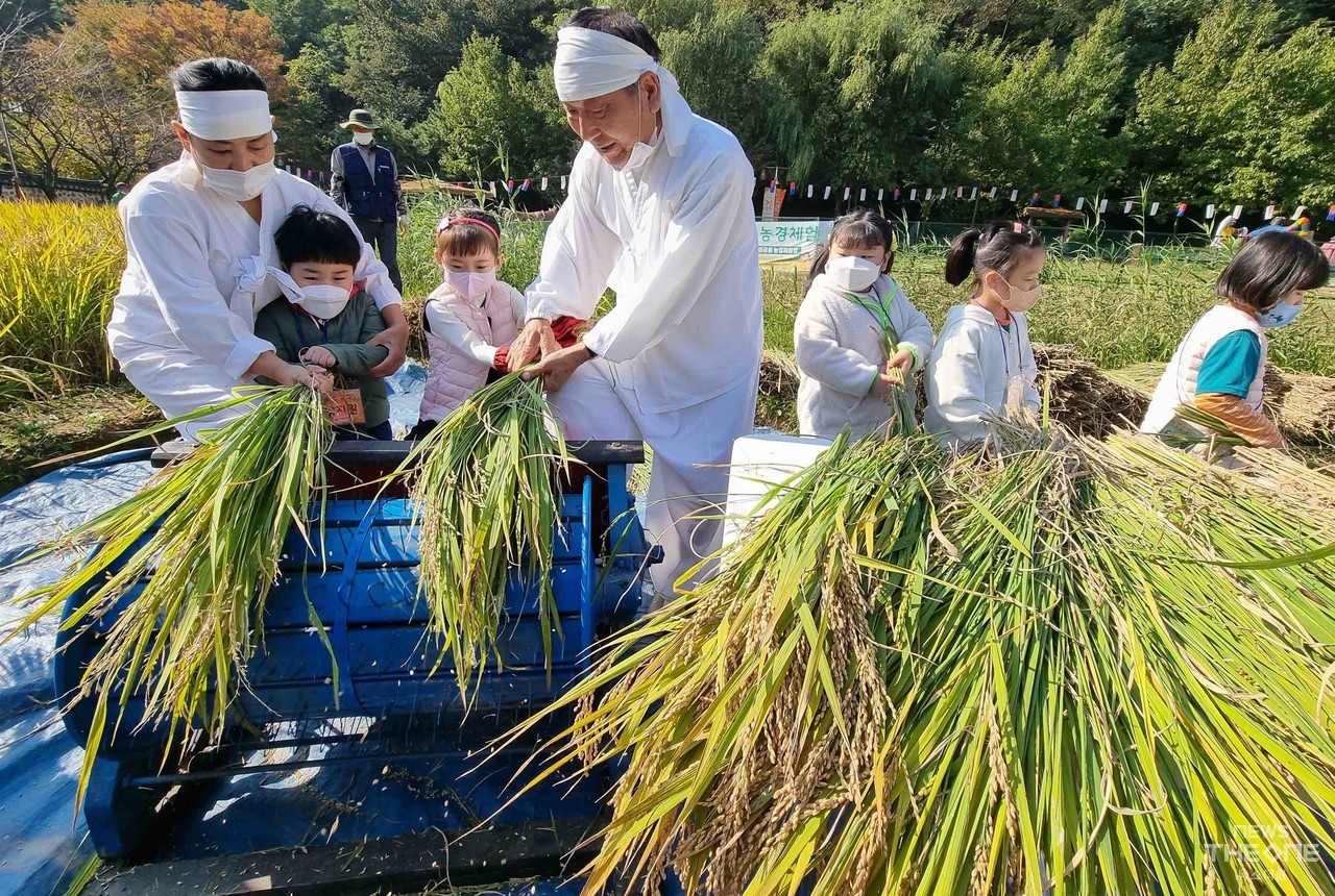 20일 오전 인천시 중구 월미공원에서 열린 '2022 벼베기 농경체험'에서 어린이들이 직접 수확한 벼의 호롱기탈곡을 체험하고 있다. (임순석 기자)