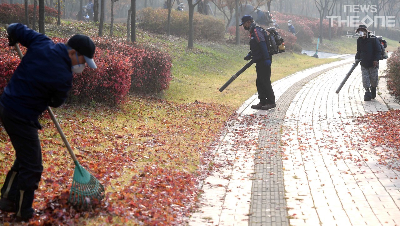 11일 오전 인천시 연수구 한 녹지 옆 가로수길에서 환경관리원들이 떨어진 낙엽을 청소하고 있다. (사진=임순석 기자)