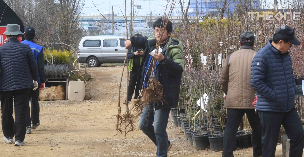 14일 오전 인천 남동구 남촌동 인천산림조합 나무시장에서 시민들이 묘목을 고르고 있다. ⓒ 임순석 기자